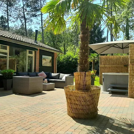 Secret Wellness Boszicht Villa Holten Exterior photo