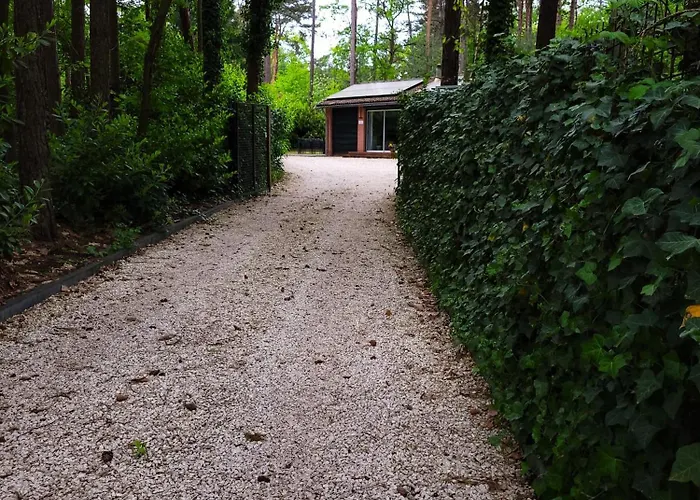 Secret Wellness Boszicht